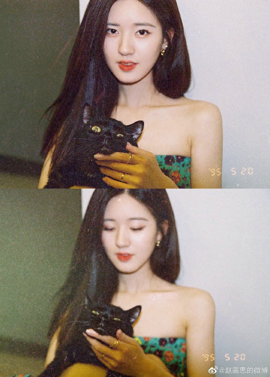 赵露思复古胶片质感写真曝光 与猫咪互动有爱十足