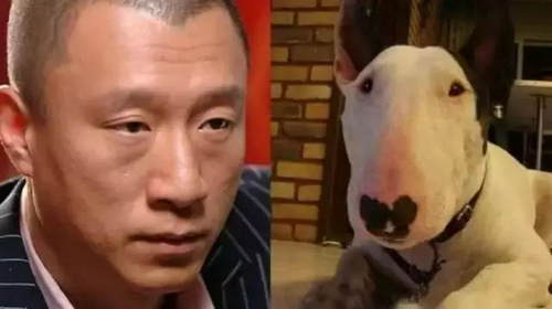 盘点那些和动物撞脸的明星们 孙红雷神了