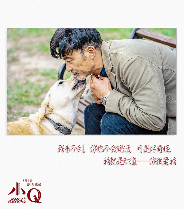 《小Q》“一次相遇 相守一生”花絮 导盲犬温情无边忠诚相伴感动世界
