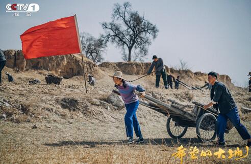 为“理想”奋斗全图景 《希望的大地》全民奔向致富路